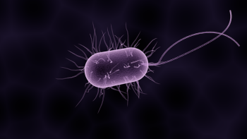 bacteria-1832824__340